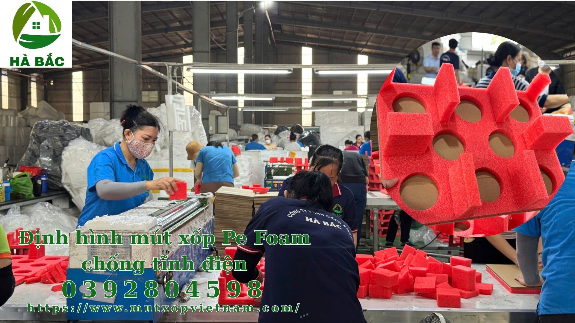 dinh-hinh-mut-xop-pe-foam-chong-tinh-dien dinh-hinh-mut-xop-pe-foam-chong-tinh-dien