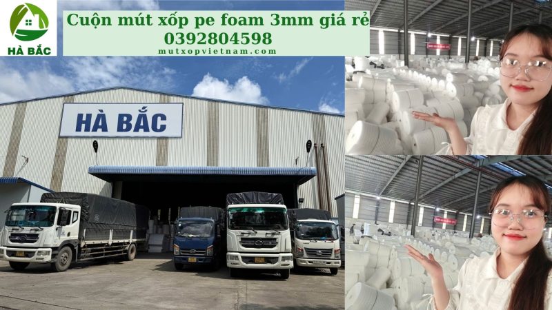 Cuộn mút xốp pe foam 3mm giá rẻ bọc lót đồ gỗ nội thất xuất khẩu tại KCN Biên Hoà Đồng Nai