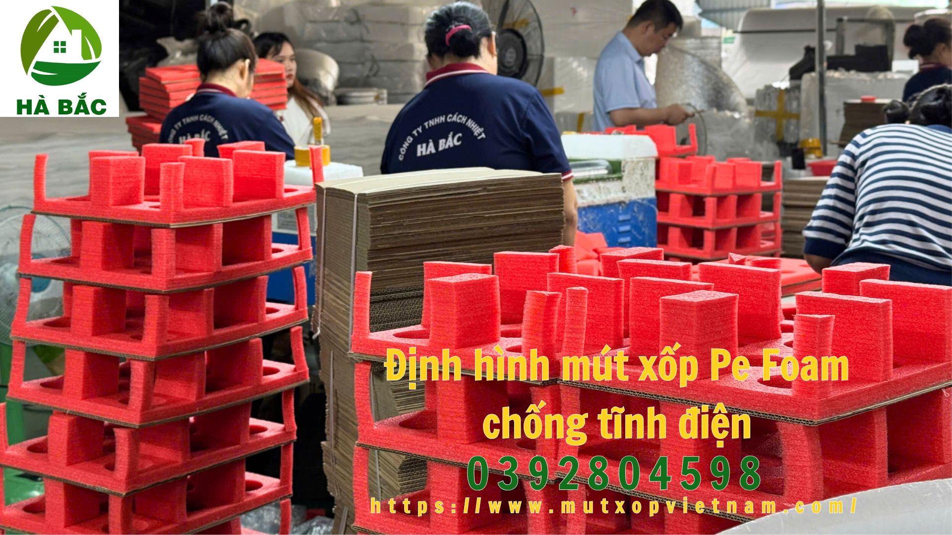 dinh-hinh-mut-xop-pe-foam-chong-tinh-dien dinh-hinh-mut-xop-pe-foam-chong-tinh-dien