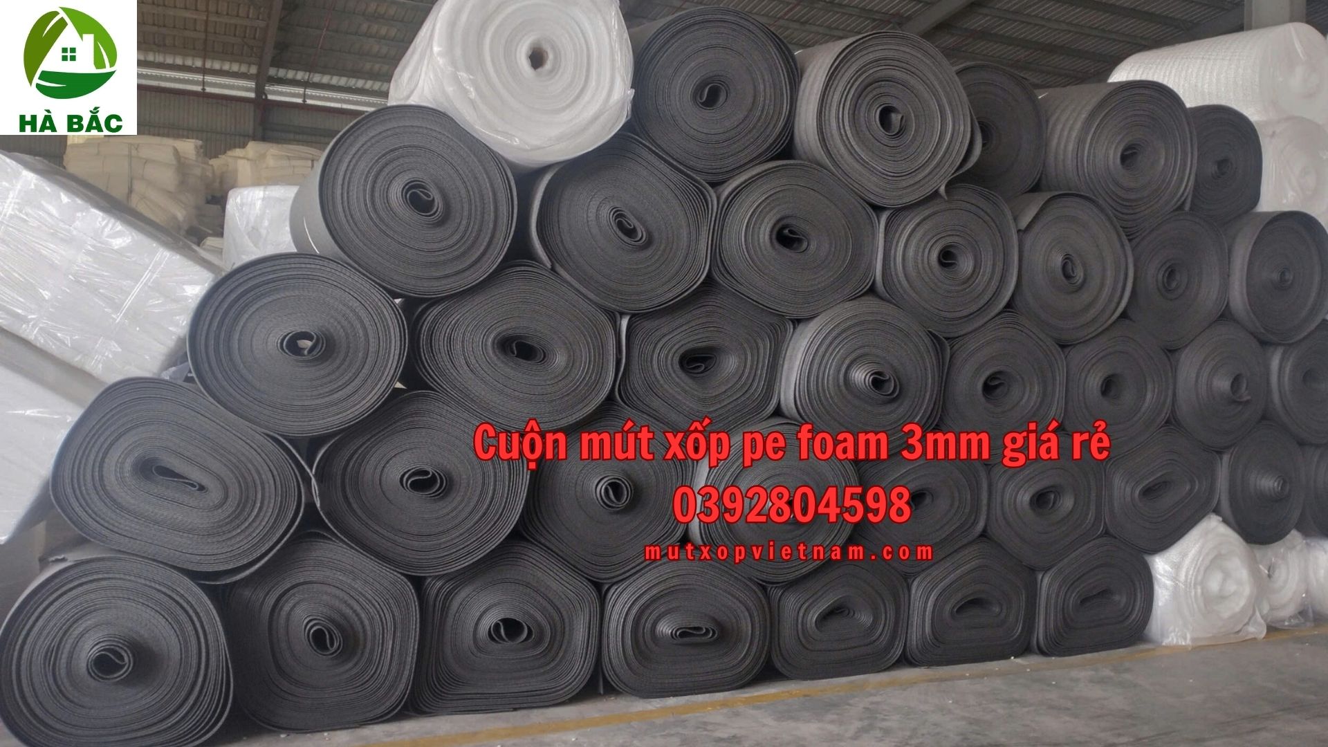 cuon-mut-xop-pe-foam-3mm-gia-re