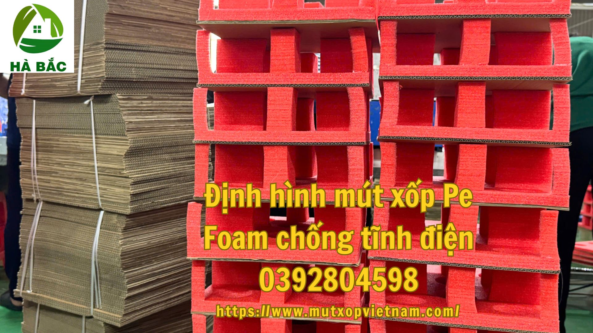 dinh-hinh-mut-xop-pe-foam-chong-tinh-dien dinh-hinh-mut-xop-pe-foam-chong-tinh-dien