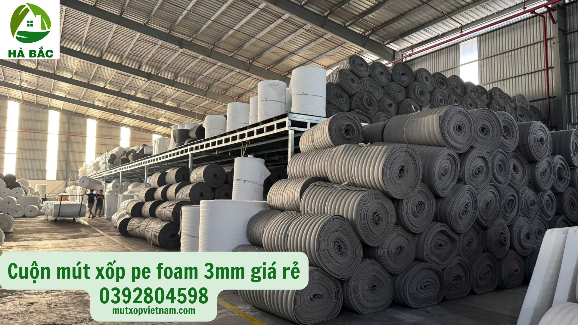 cuon-mut-xop-pe-foam-3mm-gia-re