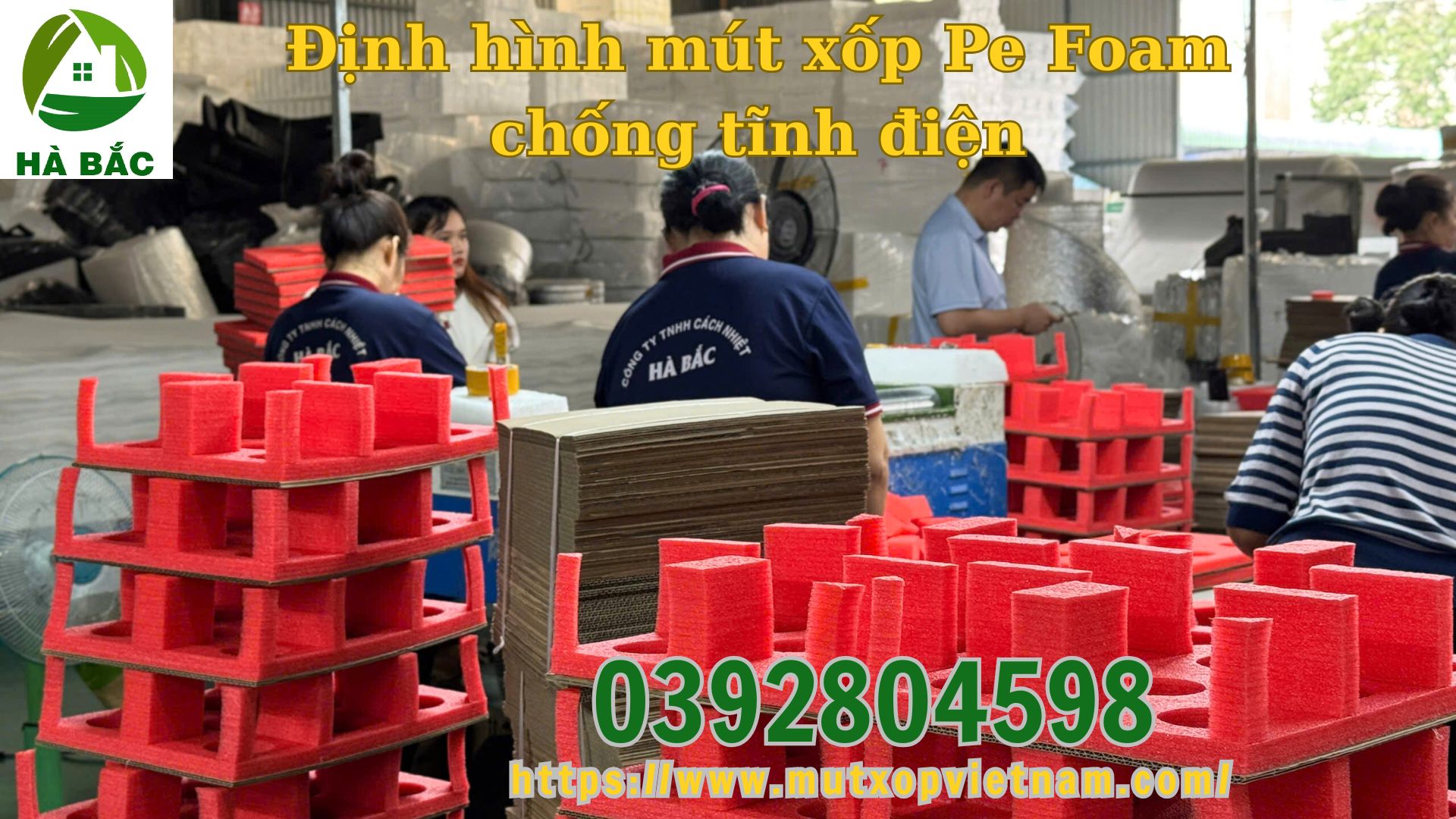 dinh-hinh-mut-xop-pe-foam-chong-tinh-dien dinh-hinh-mut-xop-pe-foam-chong-tinh-dien