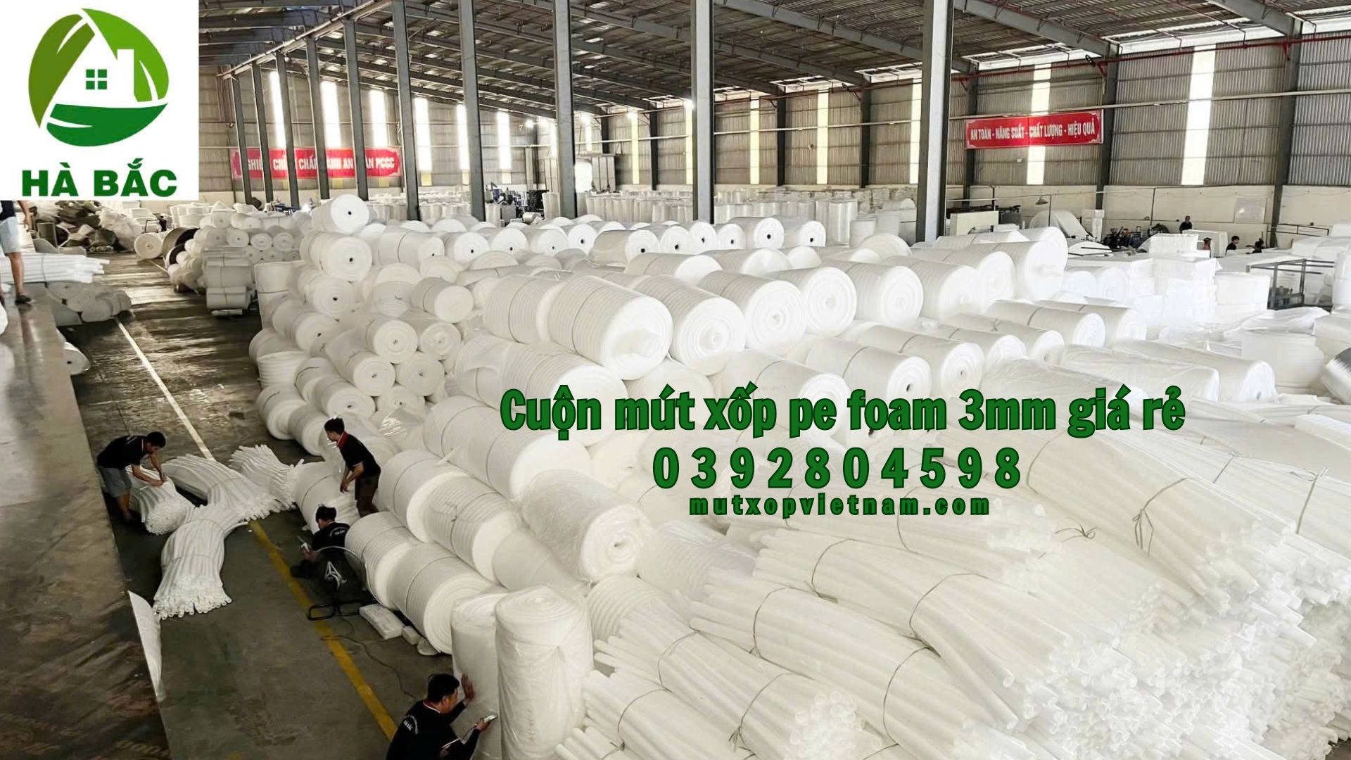 cuon-mut-xop-pe-foam-3mm-gia-re