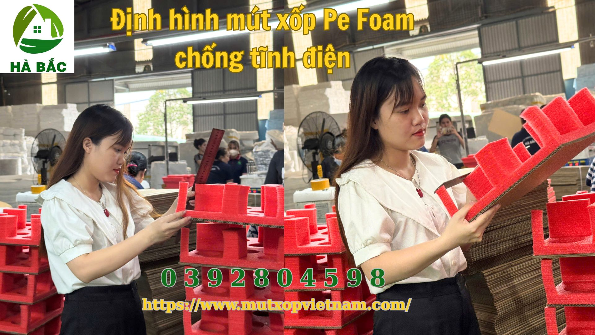 dinh-hinh-mut-xop-pe-foam-chong-tinh-dien dinh-hinh-mut-xop-pe-foam-chong-tinh-dien