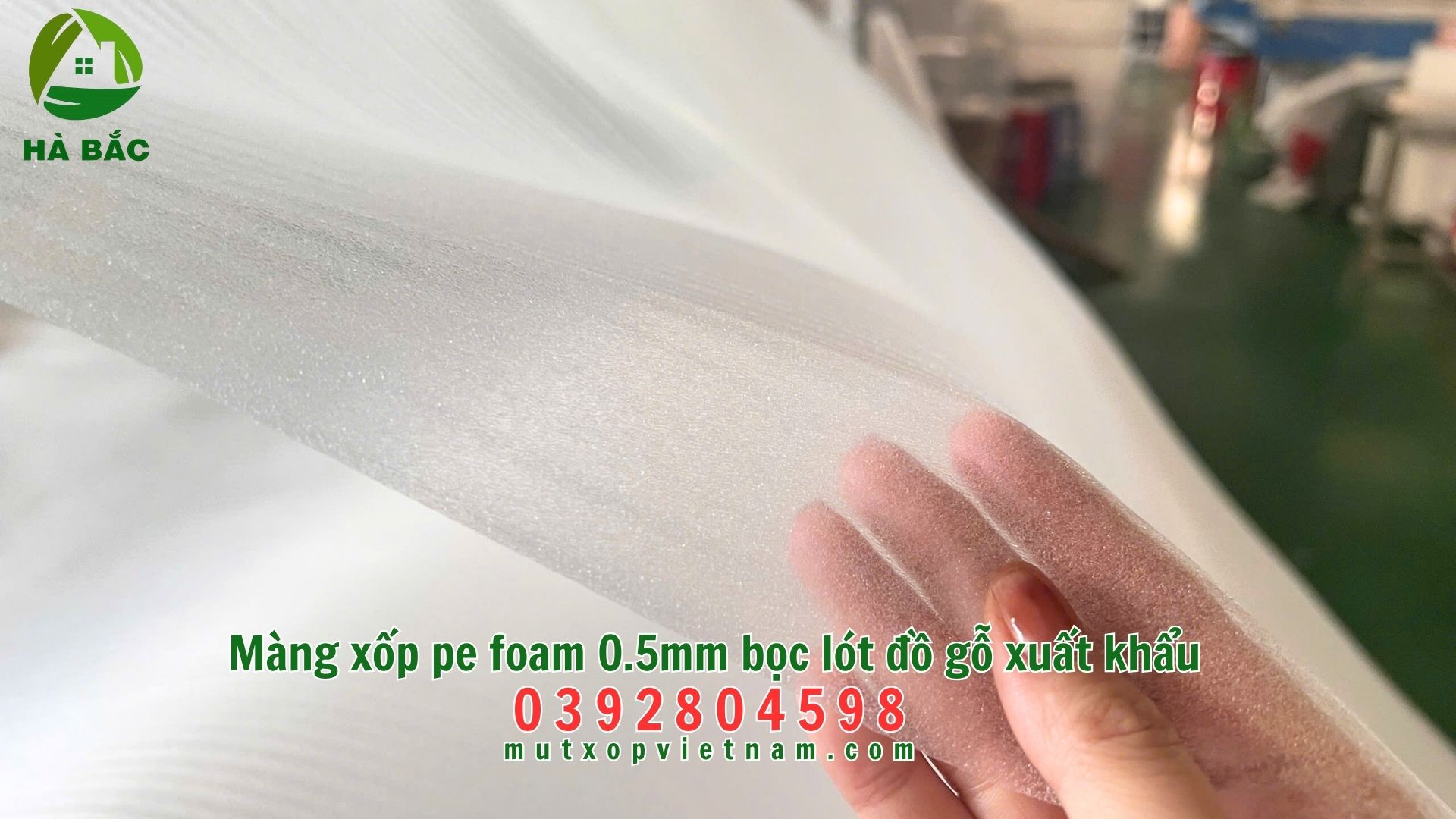 Mang-xop-pe-foam-0.5mm