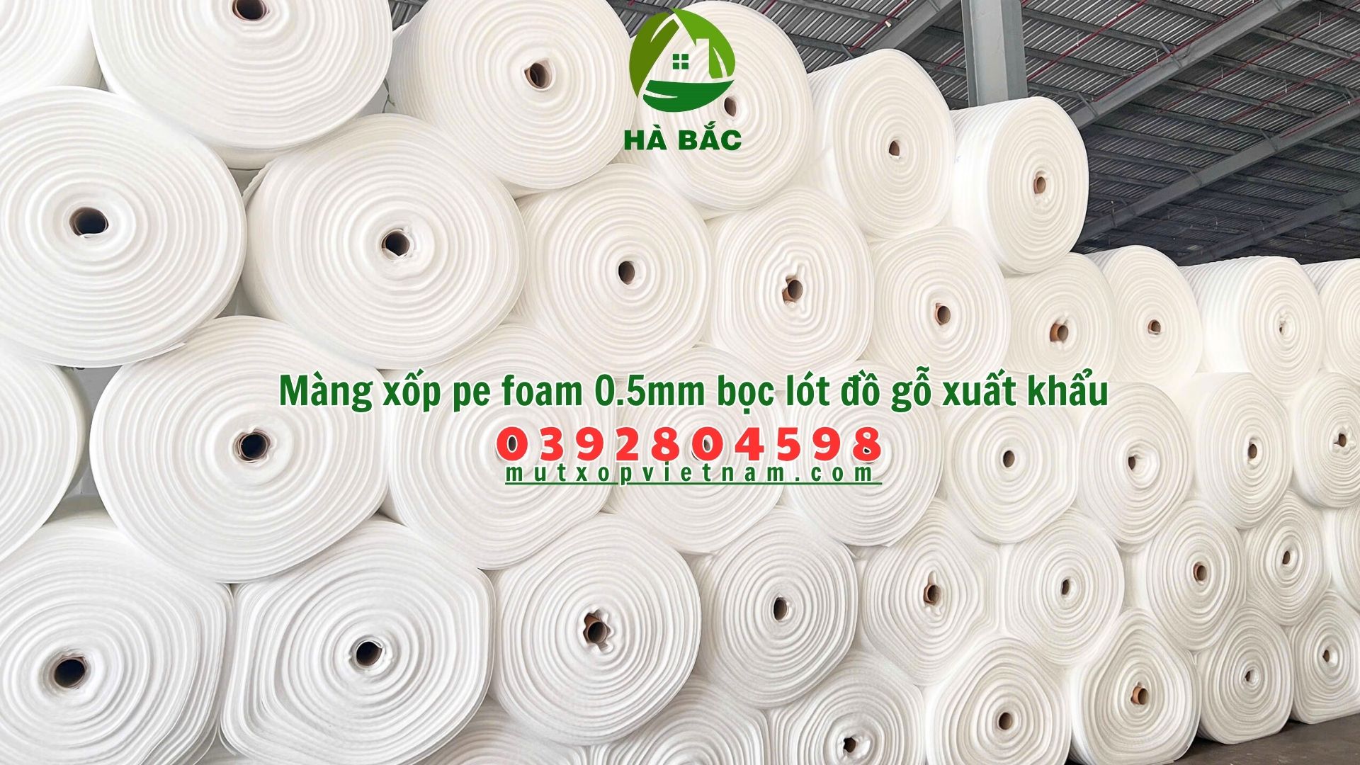 Mang-xop-pe-foam-0.5mm