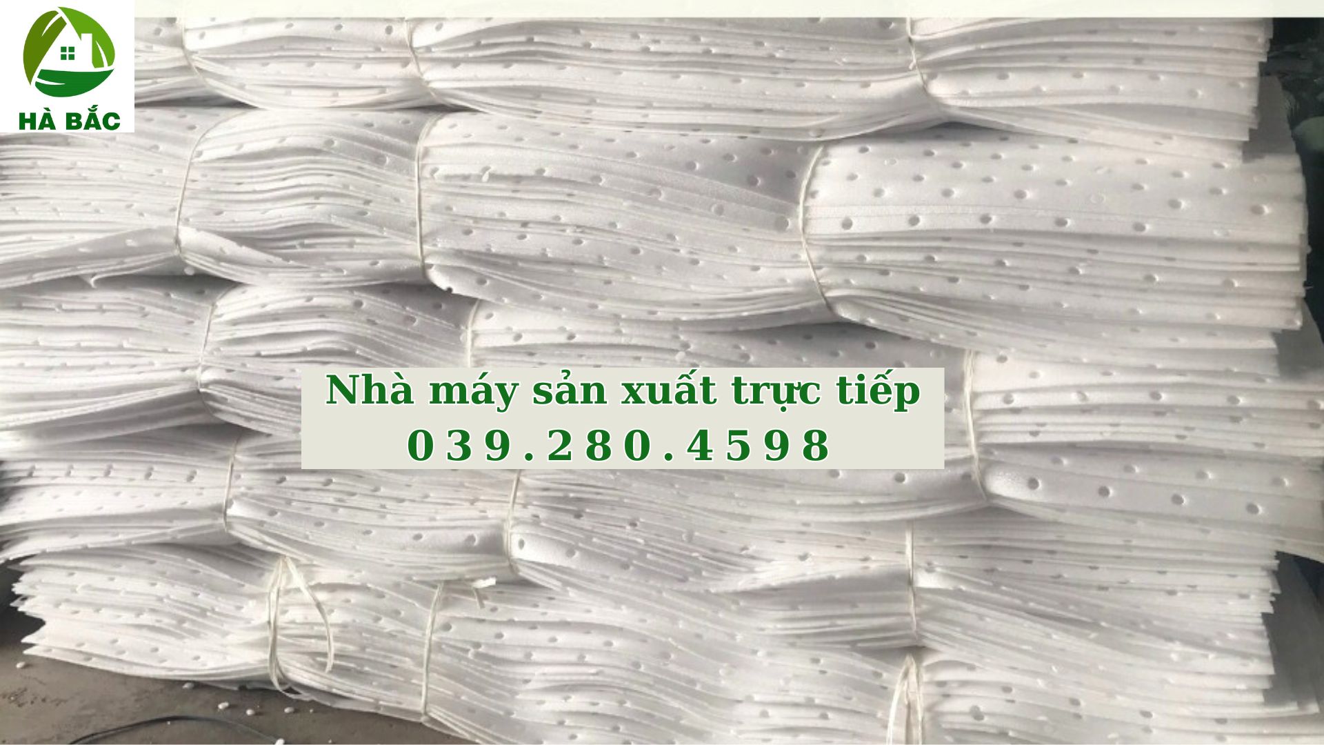 mut-xop-lot-dua-hau mut-xop-lot-dua-hau