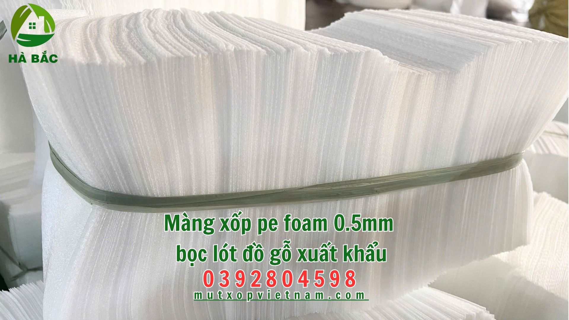 Mang-xop-pe-foam-0.5mm