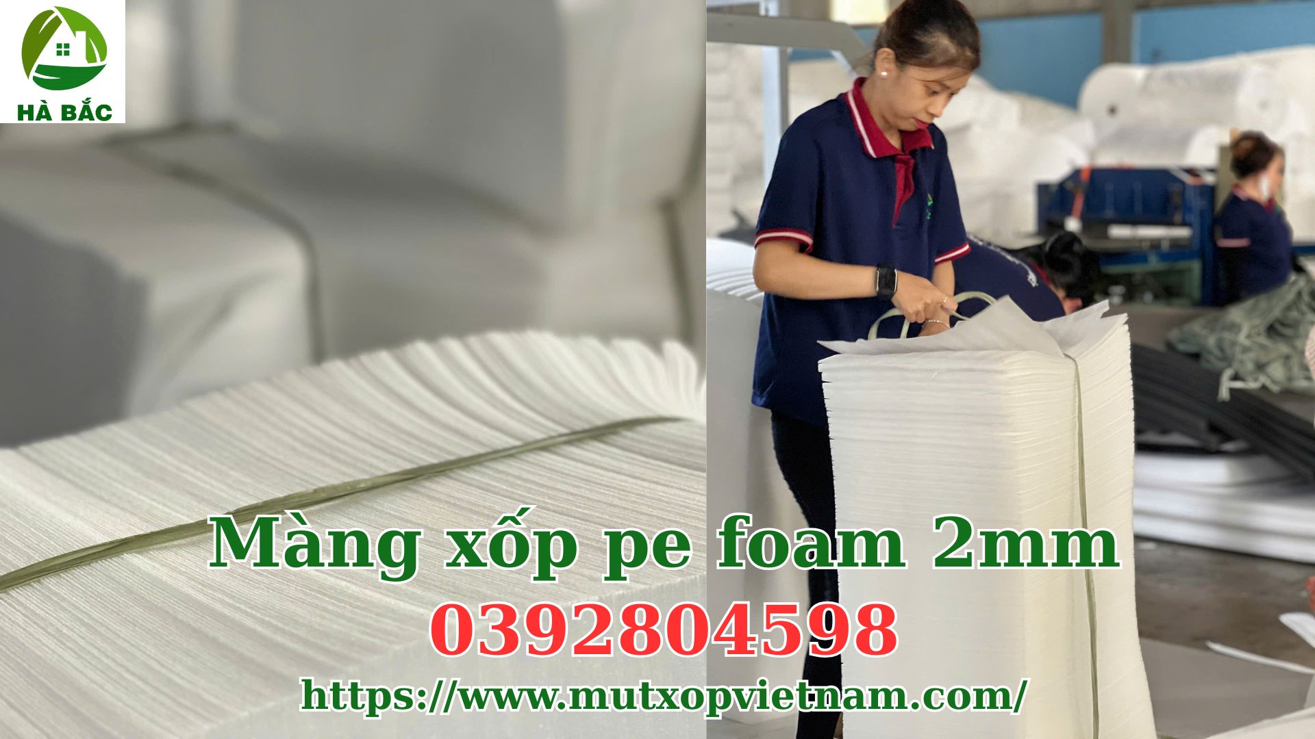 mang-xop-pe-foam-2mm-boc-lot-do-go-noi-that mang-xop-pe-foam-2mm-boc-lot-do-go-noi-that
