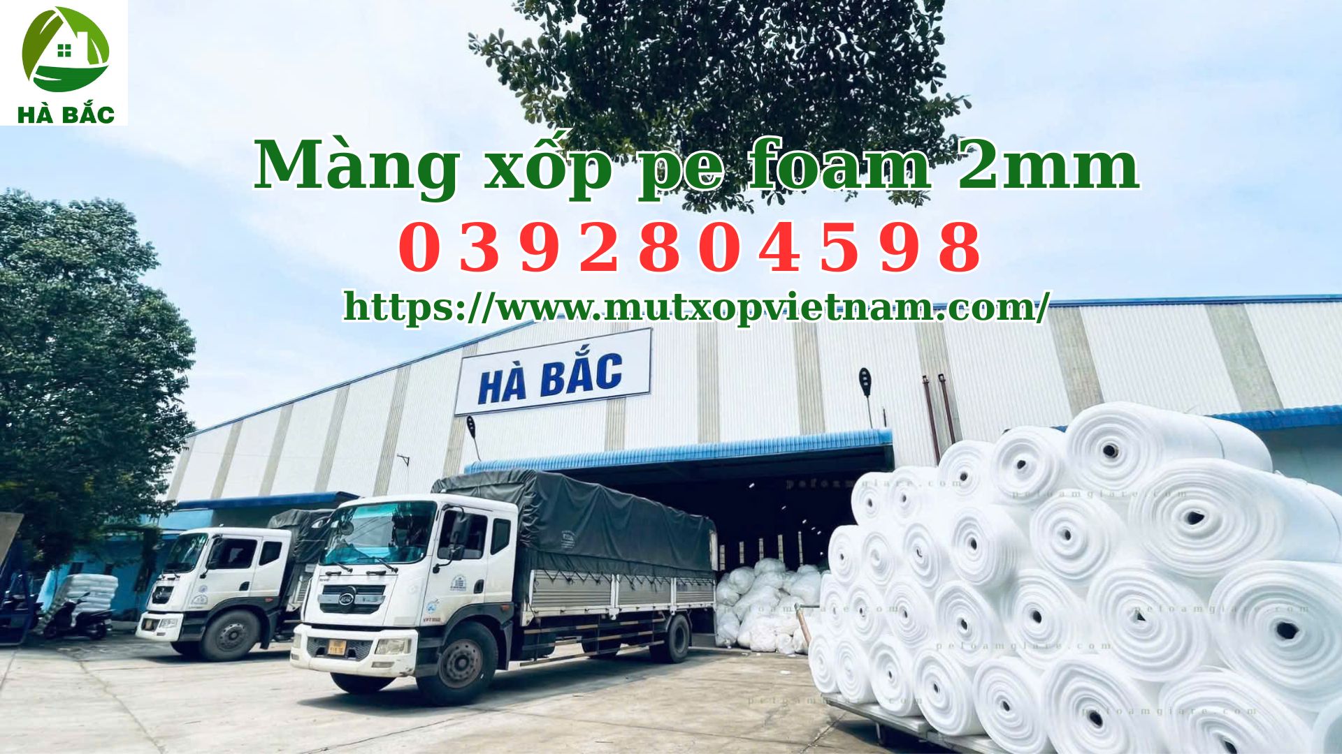 mang-xop-pe-foam-2mm-boc-lot-do-go-noi-that mang-xop-pe-foam-2mm-boc-lot-do-go-noi-that