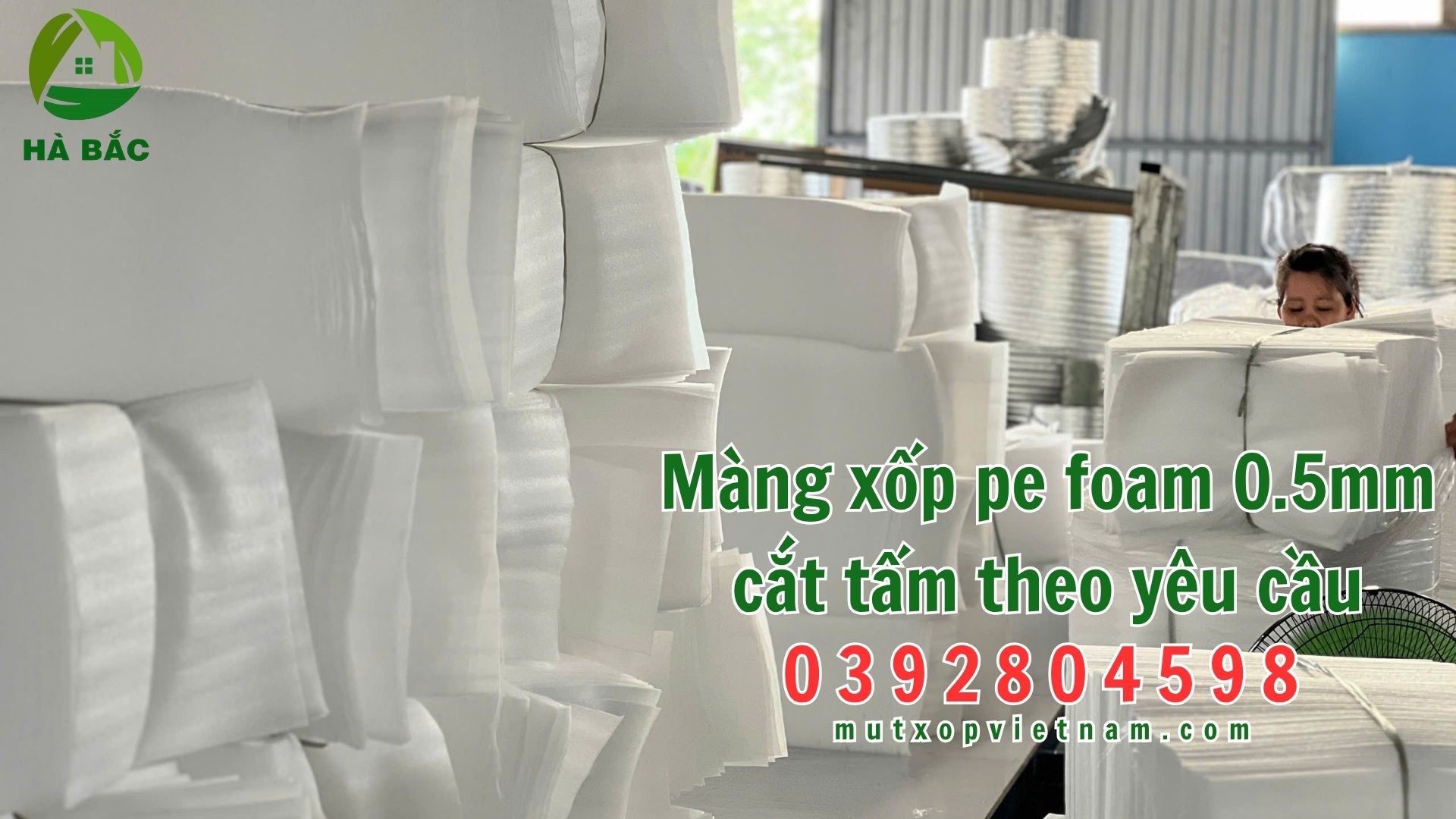 Mang-xop-pe-foam-0.5mm