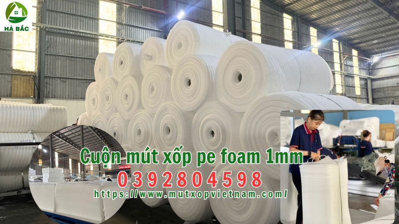 Cuộn mút xốp pe foam 1mm, công ty sản xuất cuộn mút xốp pe foam 1mm giá rẻ tại Tân Uyên Bình Dương năm 2026
