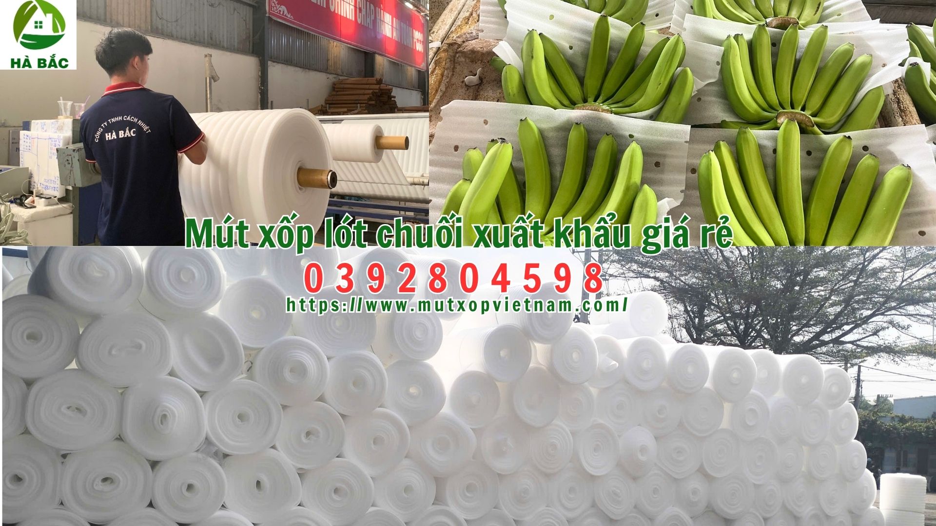 mut-xop-lot-chuoi-xuat-khau-gia-re mut-xop-lot-chuoi-xuat-khau-gia-re