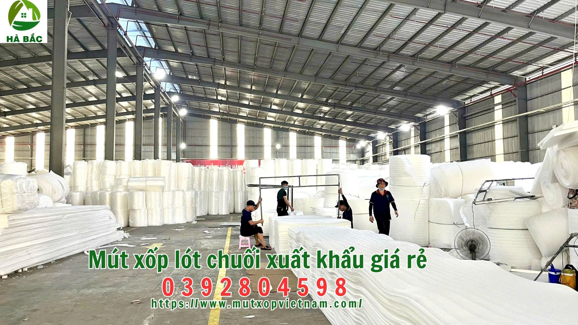 mut-xop-lot-chuoi-xuat-khau-gia-re