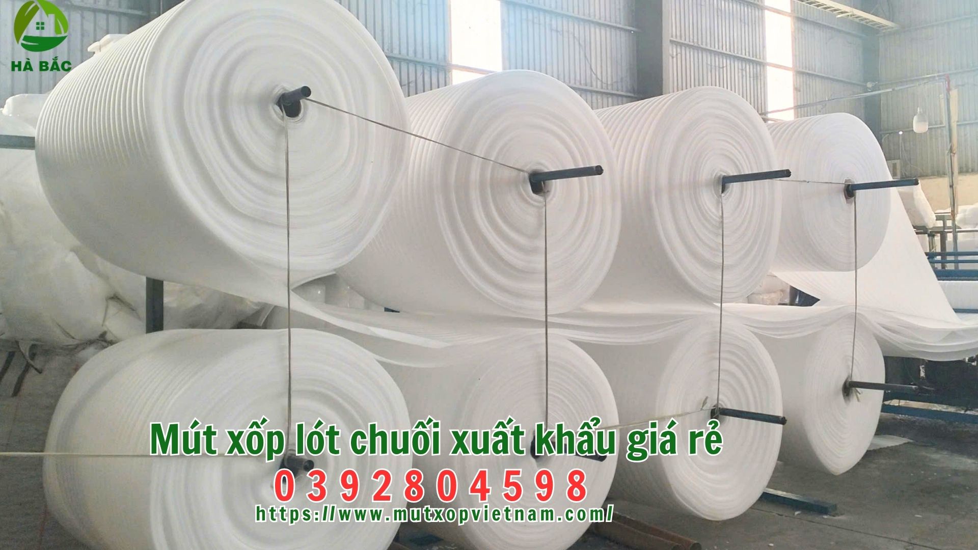 mut-xop-lot-chuoi-xuat-khau-gia-re mut-xop-lot-chuoi-xuat-khau-gia-re