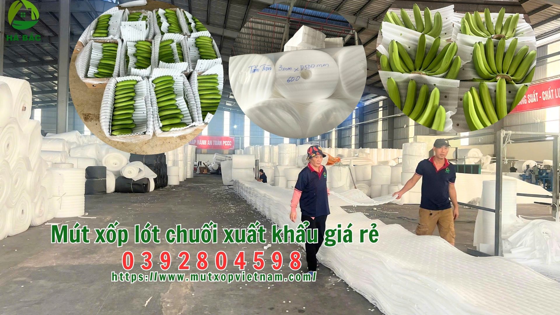 Mút xốp lót chuối xuất khẩu giá rẻ – công ty sản xuất mút xốp lót chuối xuất khẩu giá rẻ tại Tây Ninh
