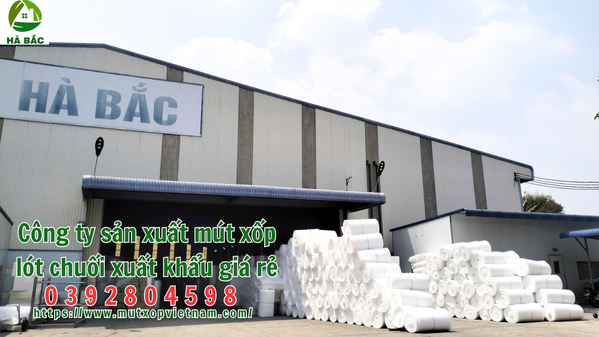 mut-xop-lot-chuoi-xuat-khau-gia-re mut-xop-lot-chuoi-xuat-khau-gia-re