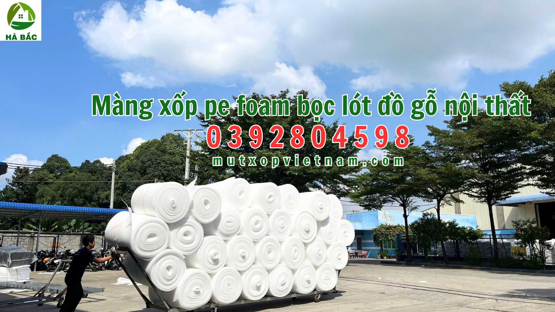 mang-xop-pe-foam-boc-lot-do-go-noi-that mang-xop-pe-foam-boc-lot-do-go-noi-that