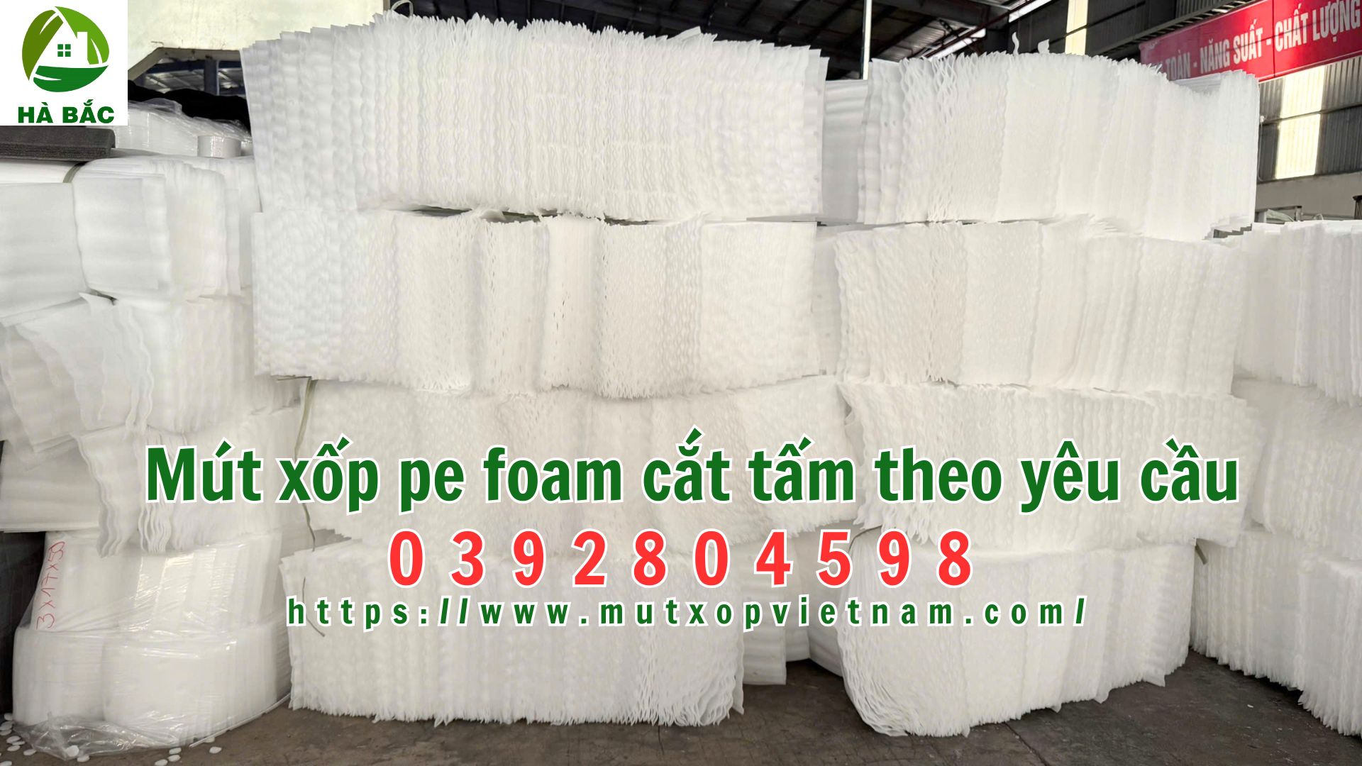 mut-xop-pe-foam-cat-tam-theo-yeu-cau mut-xop-pe-foam-cat-tam-theo-yeu-cau
