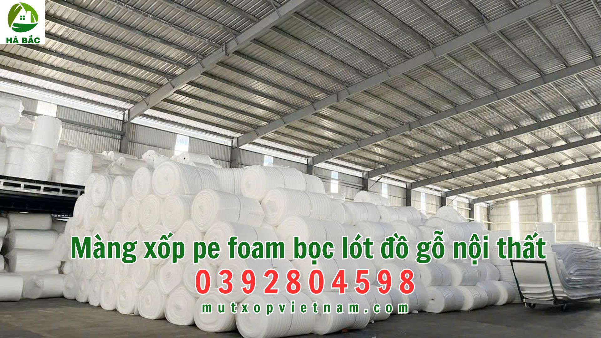 mang-xop-pe-foam-boc-lot-do-go-noi-that mang-xop-pe-foam-boc-lot-do-go-noi-that