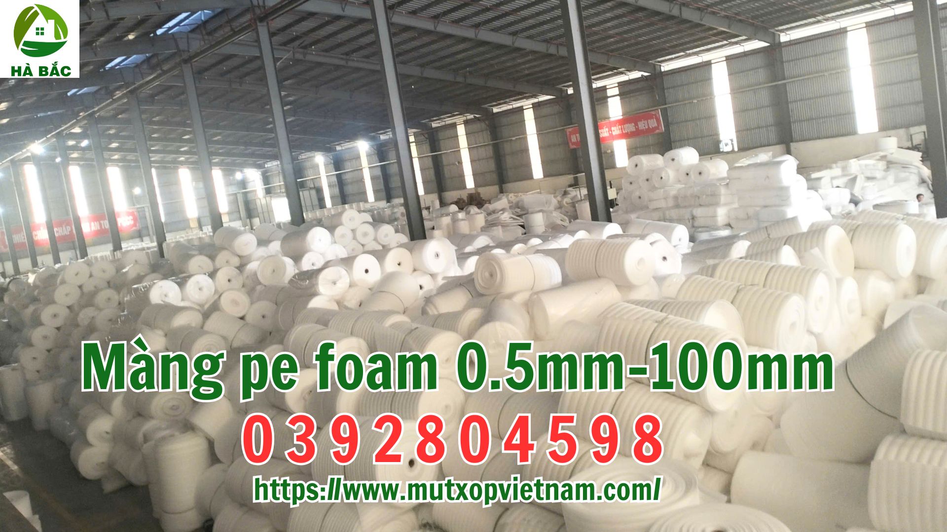 mang-xop-hoi-ep-pe-foam-chong-soc mang-xop-hoi-ep-pe-foam-chong-soc