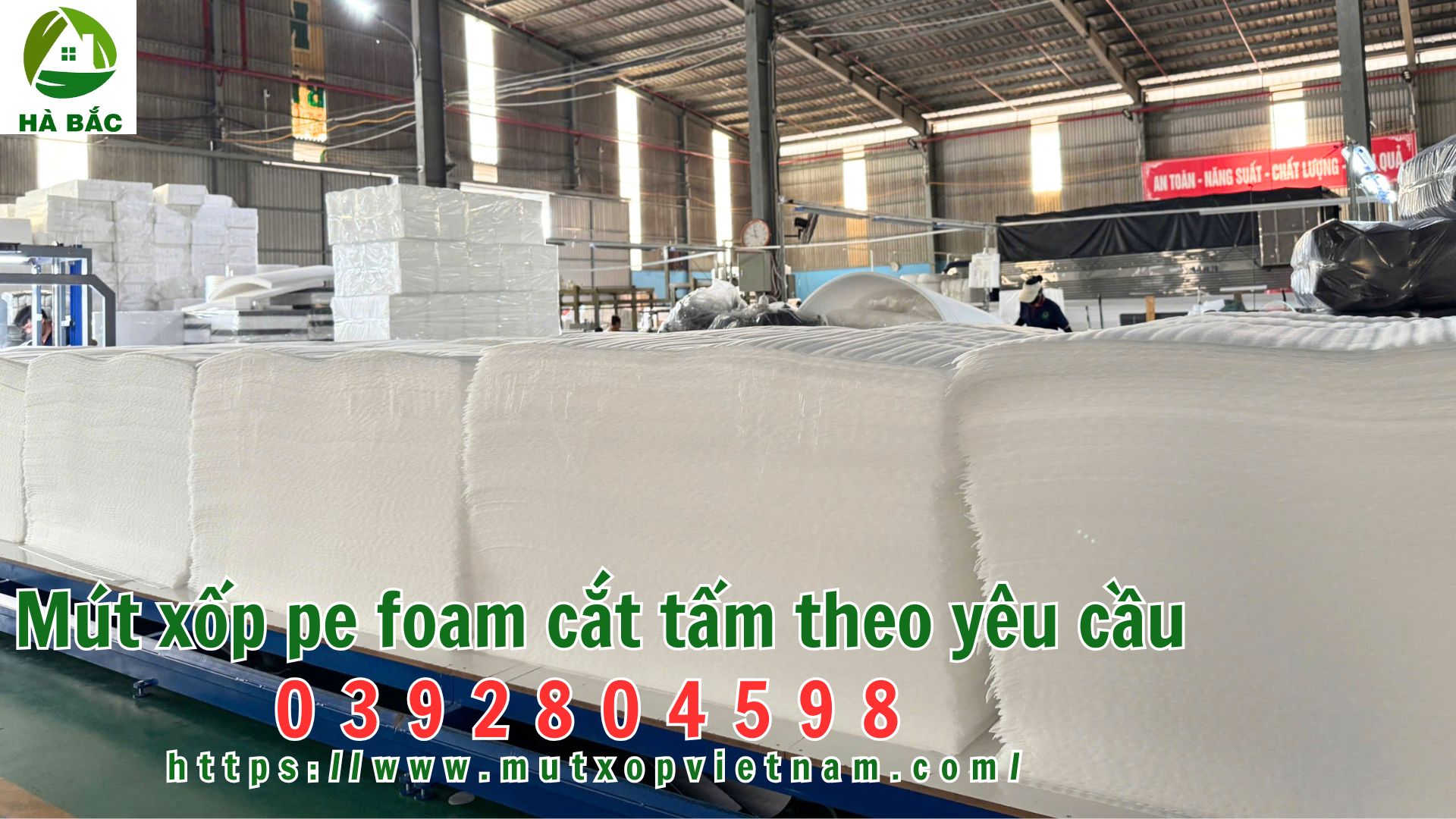 mut-xop-pe-foam-cat-tam-theo-yeu-cau mut-xop-pe-foam-cat-tam-theo-yeu-cau