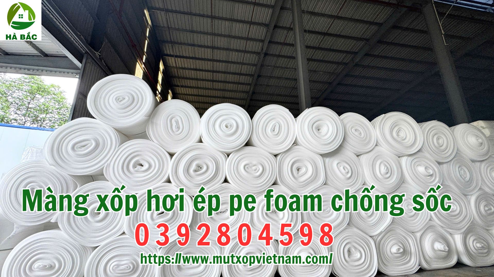 mang-xop-hoi-ep-pe-foam-chong-soc mang-xop-hoi-ep-pe-foam-chong-soc