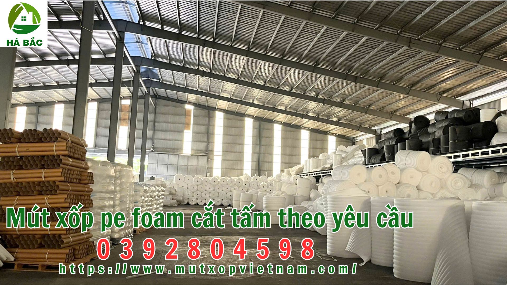 mut-xop-pe-foam-cat-tam-theo-yeu-cau mut-xop-pe-foam-cat-tam-theo-yeu-cau