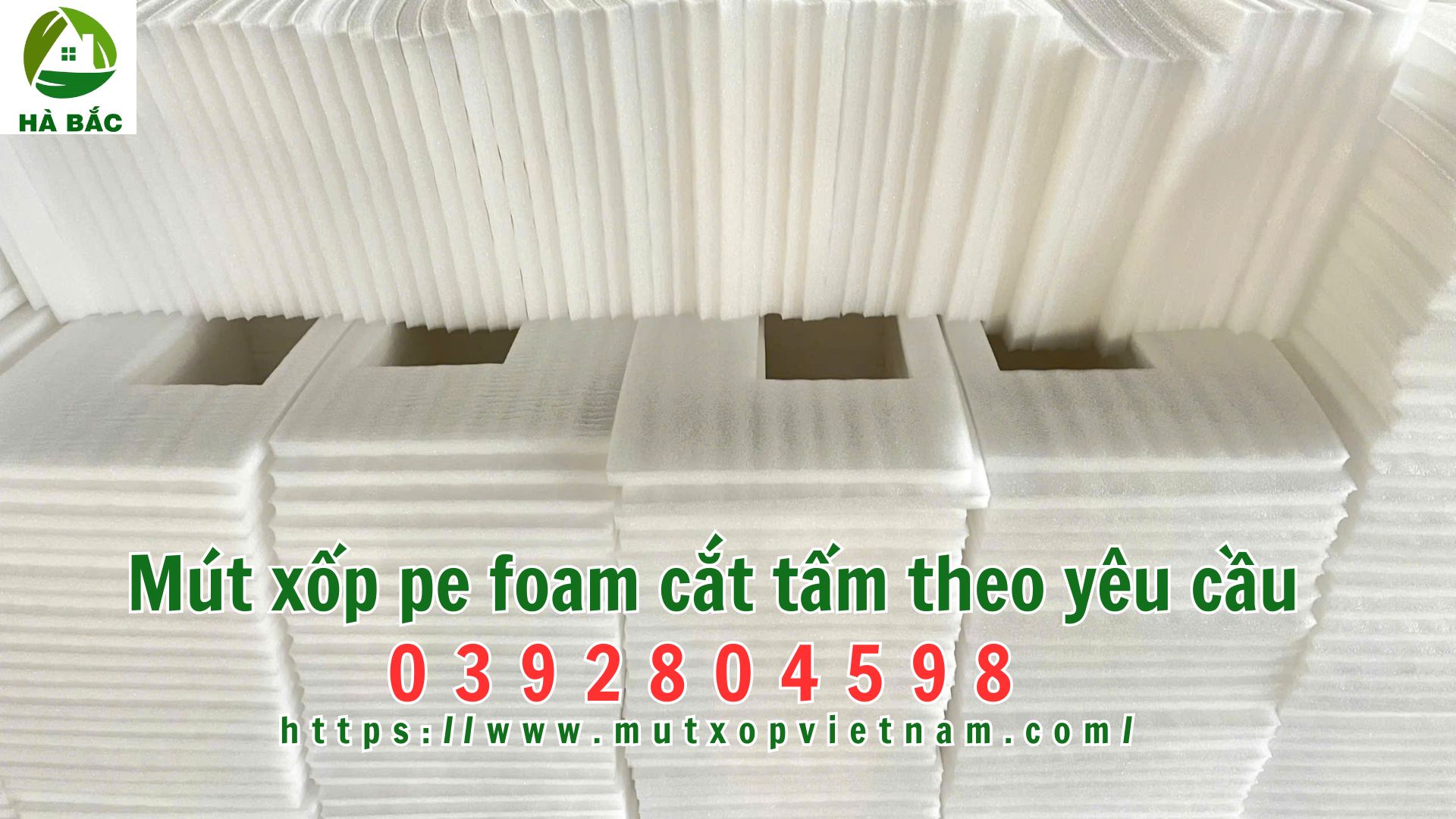 mut-xop-pe-foam-cat-tam-theo-yeu-cau mut-xop-pe-foam-cat-tam-theo-yeu-cau