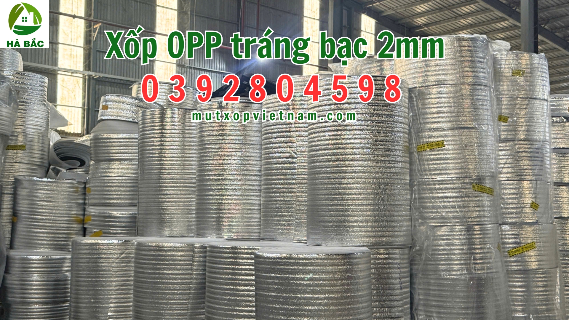 xop-opp-2mm-trang-bac