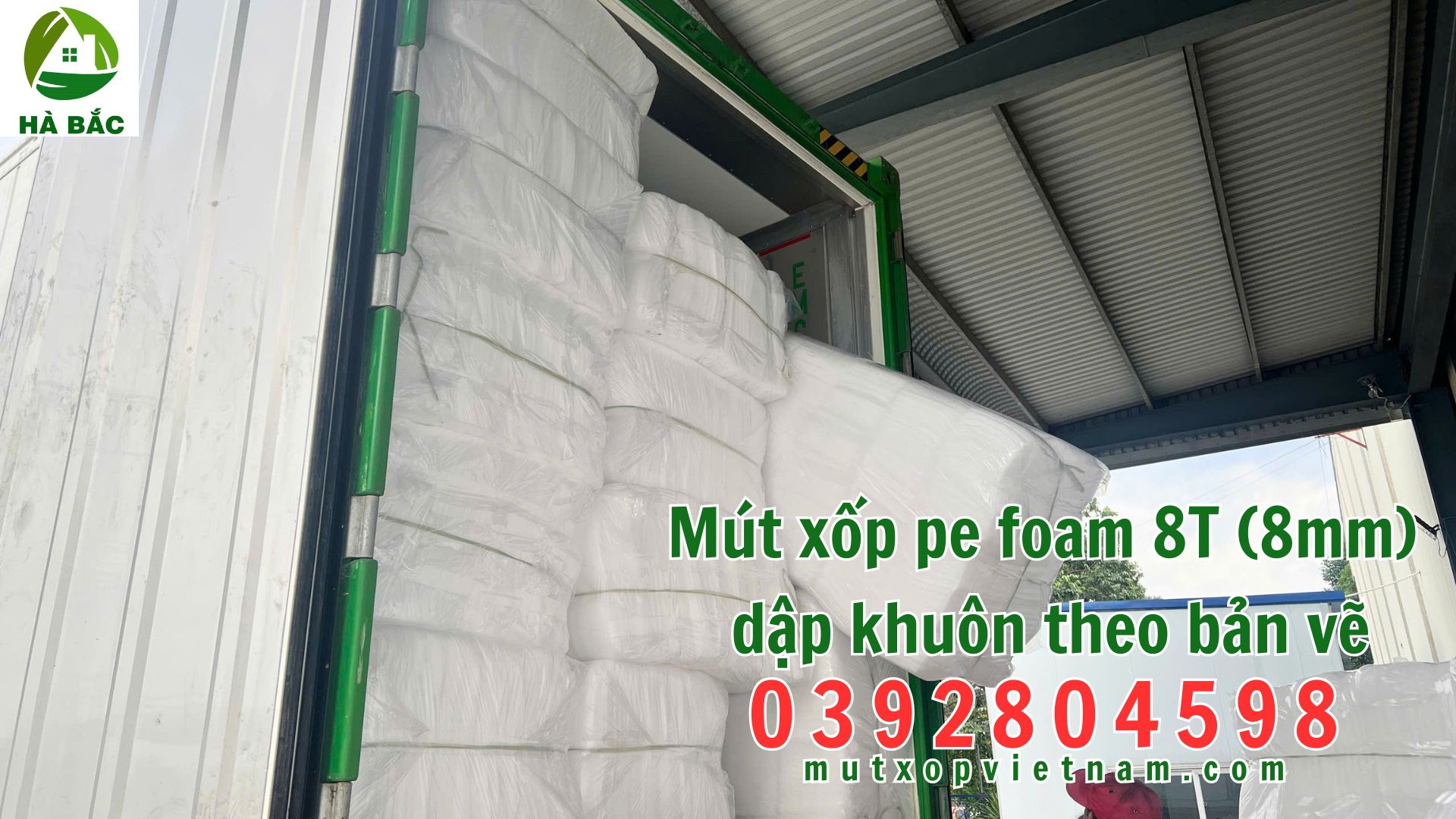 mut-xop-e-foam-8T-(8mm) mut-xop-e-foam-8T-(8mm)