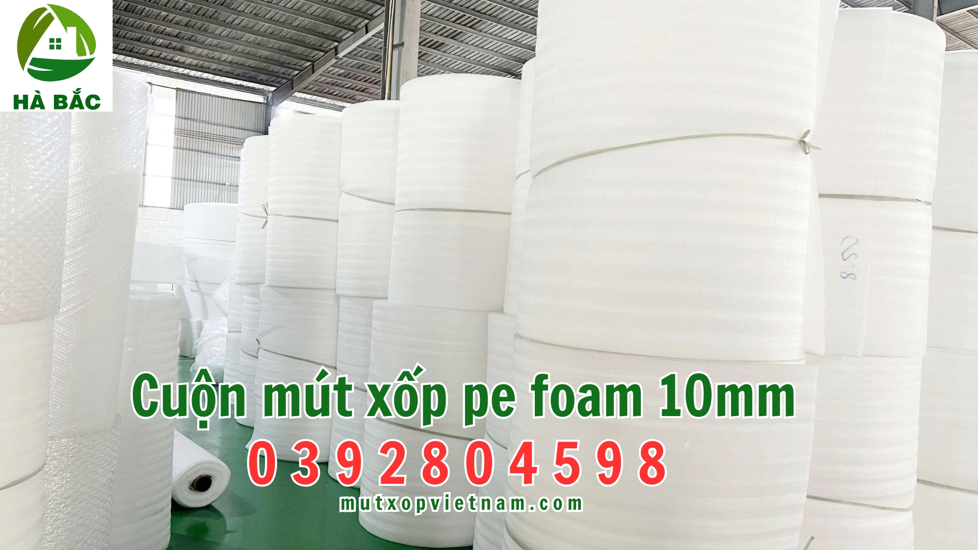cuon-mut-xop-pe-foam-10mm cuon-mut-xop-pe-foam-10mm