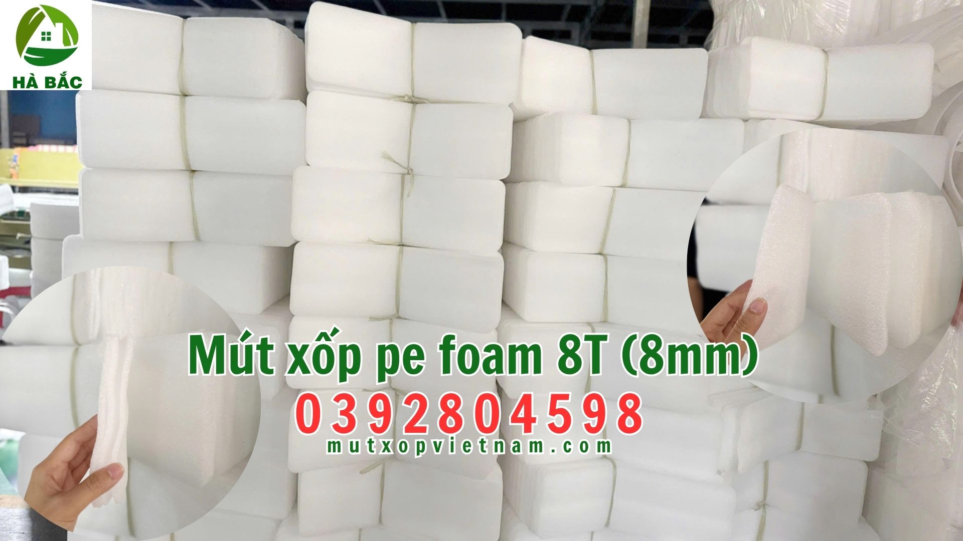 mut-xop-e-foam-8T-(8mm) mut-xop-e-foam-8T-(8mm)