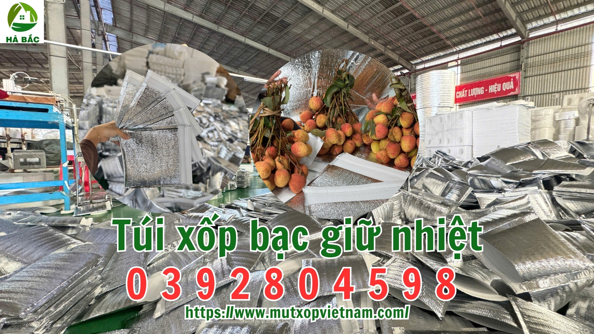 tui-xop-bac-giu-nhiet tui-xop-bac-giu-nhiet