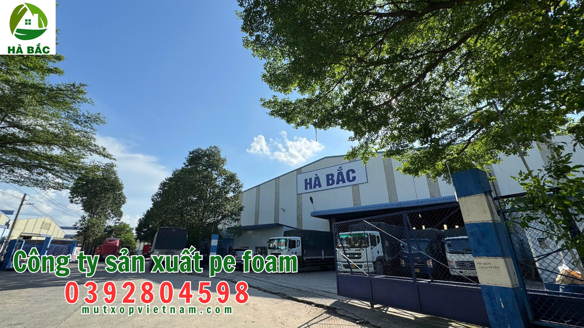 mut-xop-e-foam-8T-(8mm) mut-xop-e-foam-8T-(8mm)