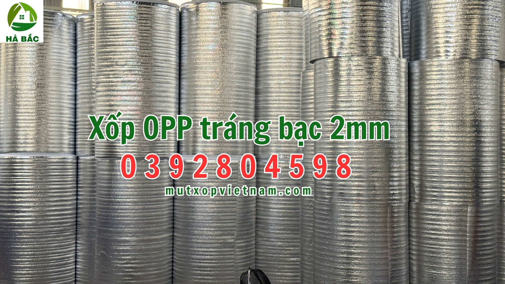 xop-opp-2mm-trang-bac