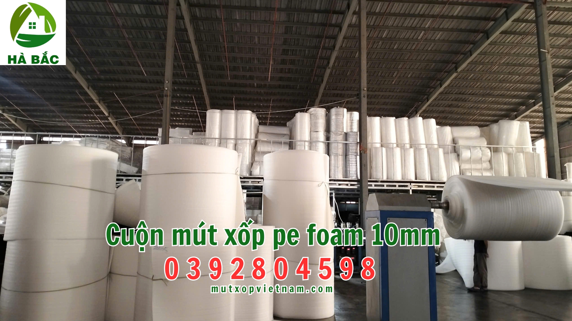 cuon-mut-xop-pe-foam-10mm cuon-mut-xop-pe-foam-10mm
