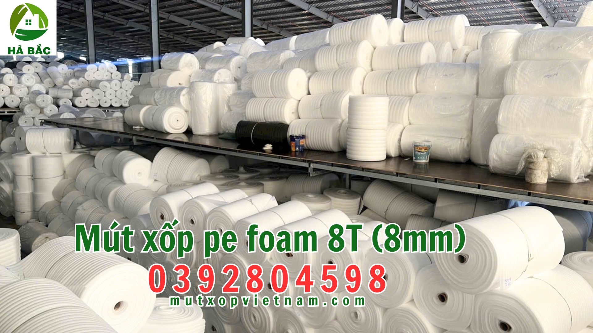 mut-xop-e-foam-8T-(8mm) mut-xop-e-foam-8T-(8mm)