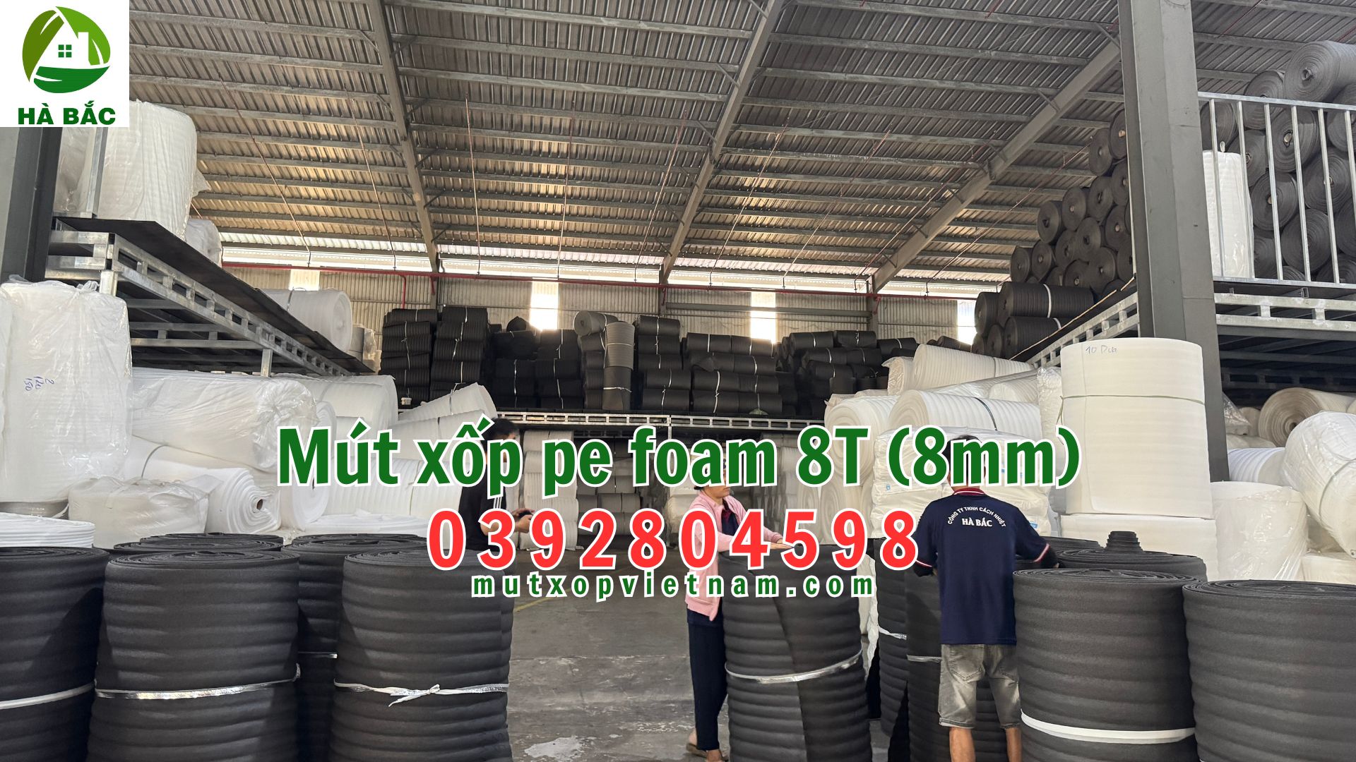 mut-xop-e-foam-8T-(8mm) mut-xop-e-foam-8T-(8mm)