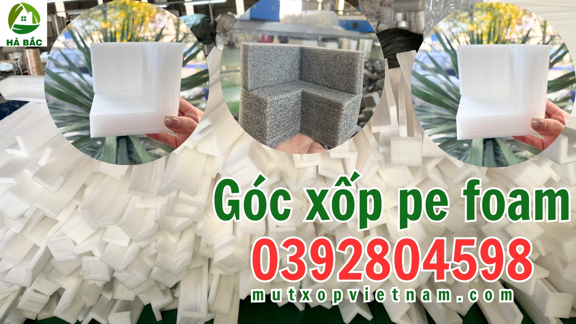 goc-xop-pe-foam goc-xop-pe-foam