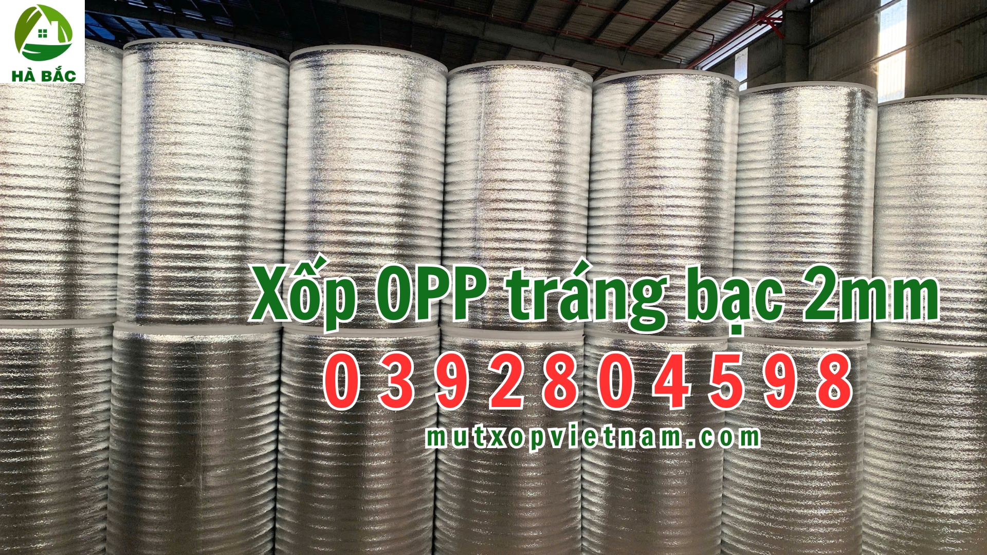 xop-opp-2mm-trang-bac