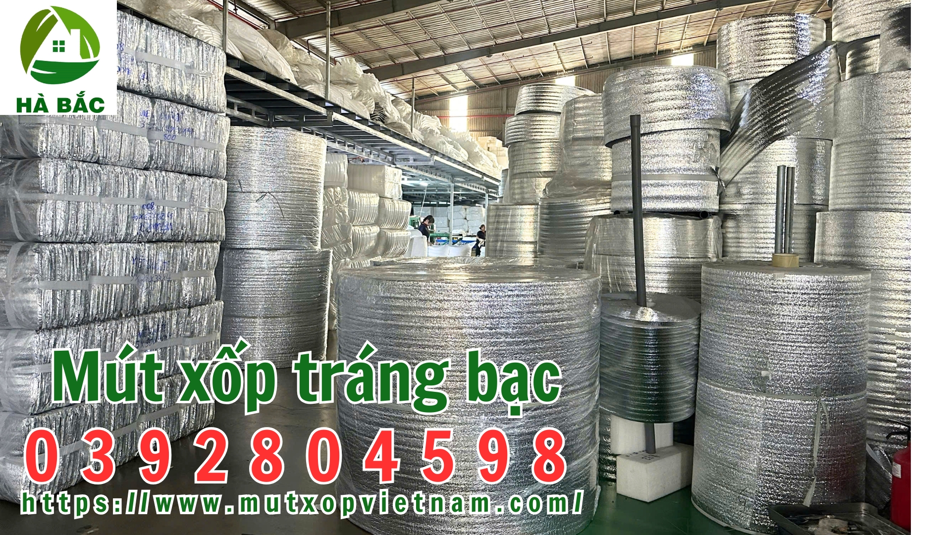 mut-xop-trang-bac