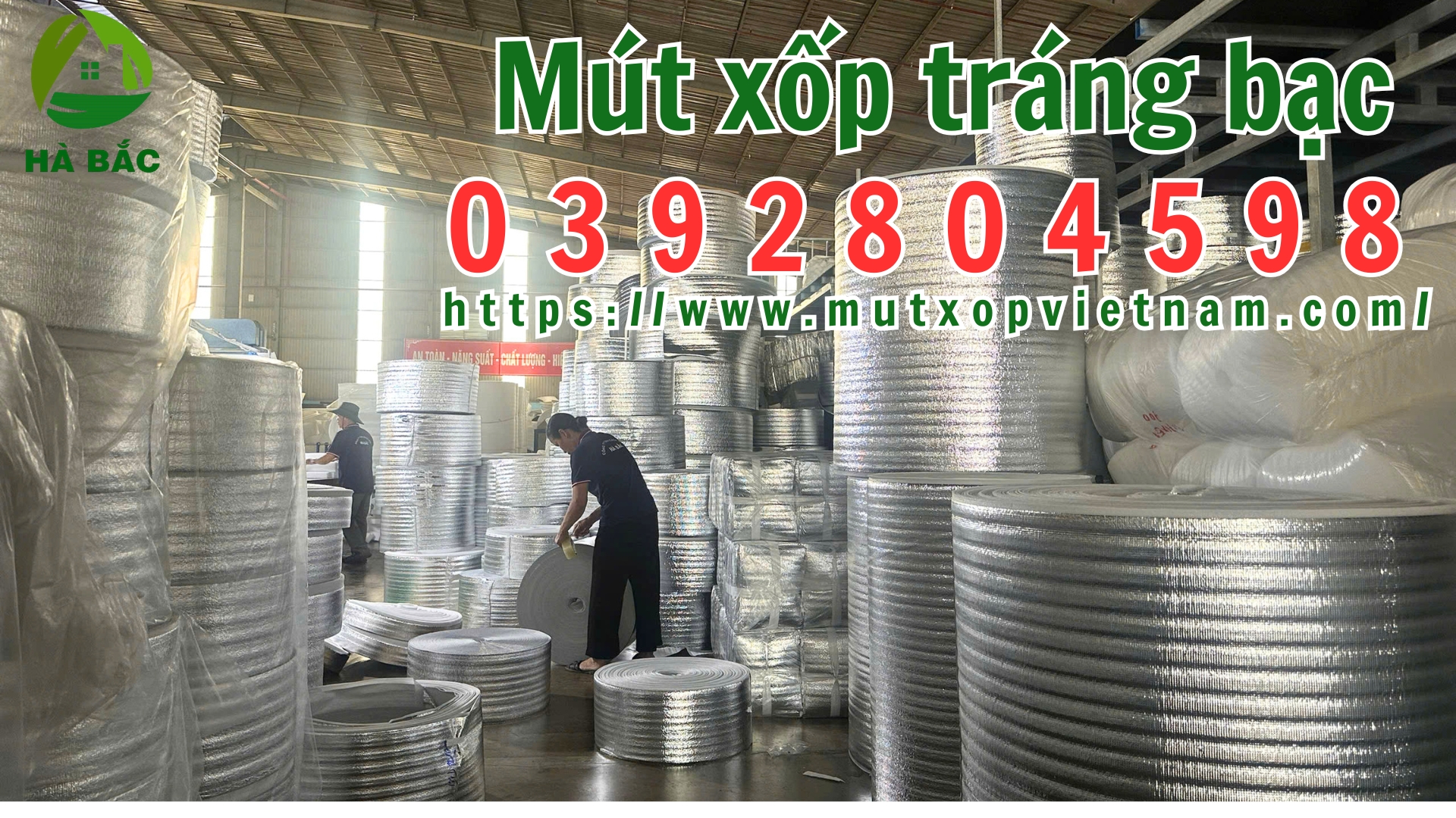 mut-xop-trang-bac mut-xop-trang-bac