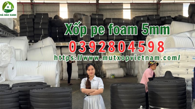 Xốp pe foam 5mm giá rẻ tại Miền Bắc – công ty sản xuất xốp pe foam 5mm chất lượng giá rẻ tại Bắc Ninh