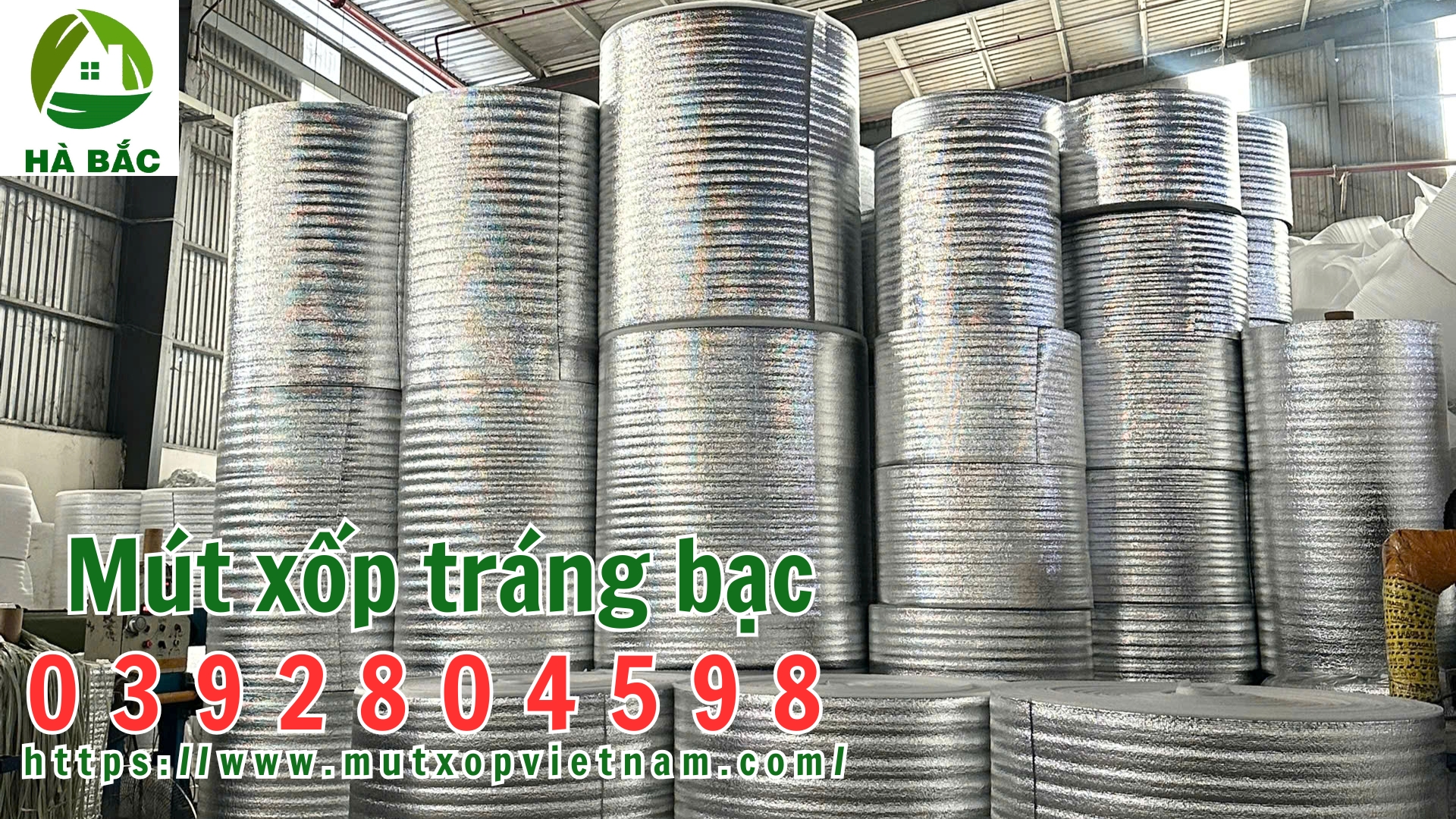 mut-xop-trang-bac mut-xop-trang-bac