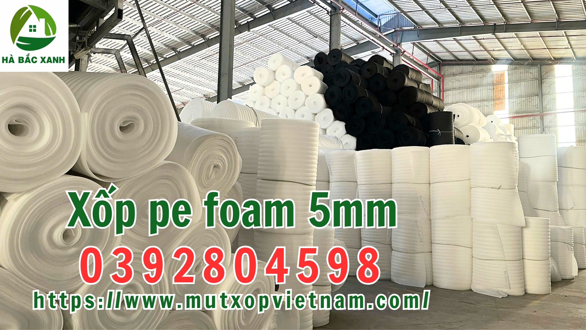 xop-pe-foam-5mm xop-pe-foam-5mm