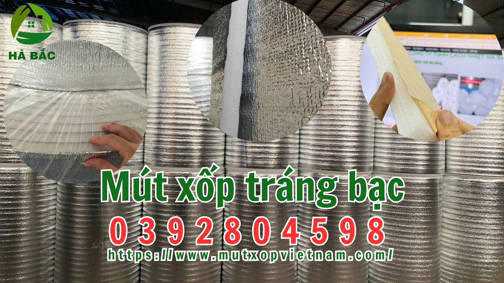 mut-xop-trang-bac mut-xop-trang-bac