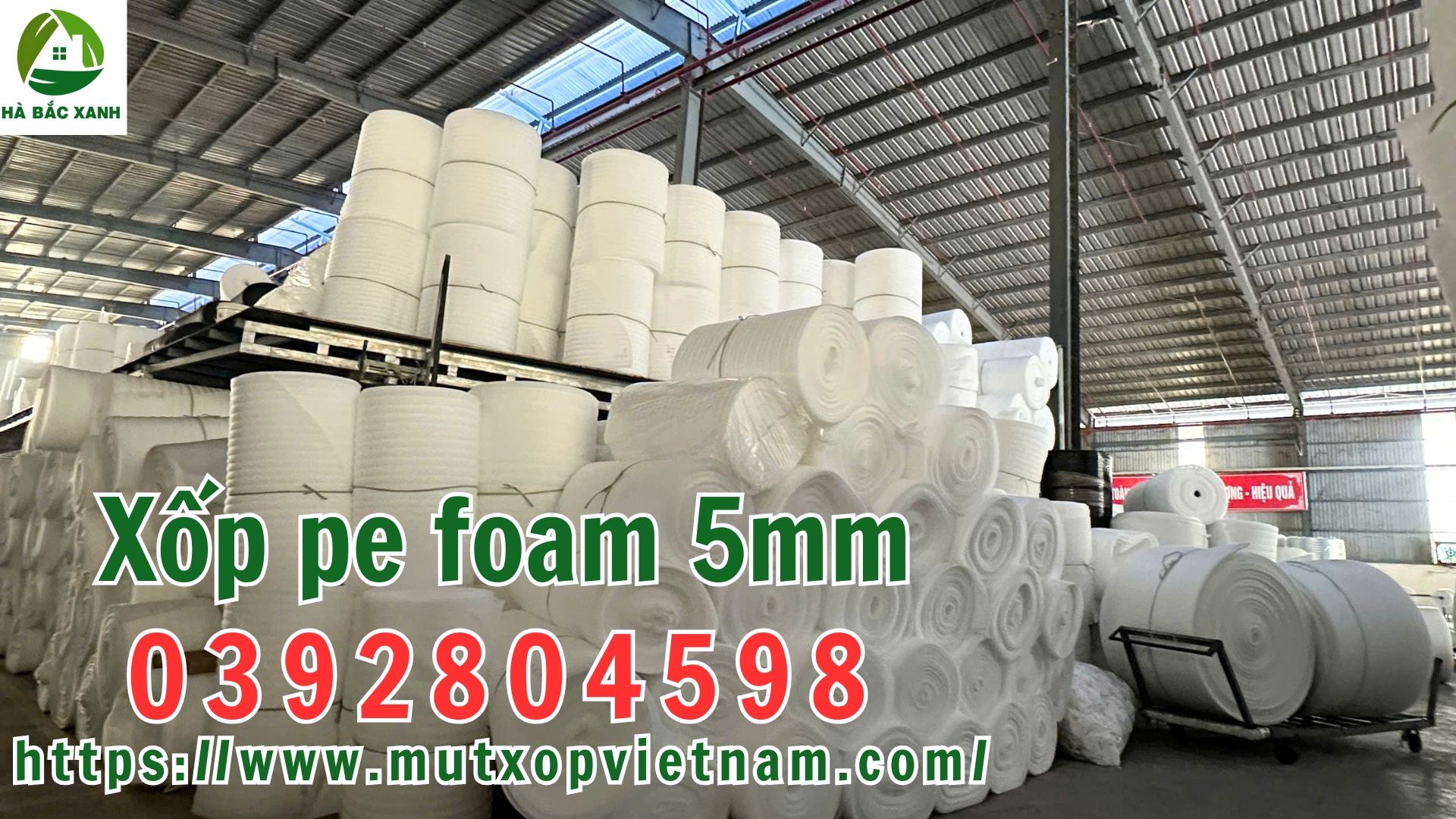 xop-pe-foam-5mm xop-pe-foam-5mm