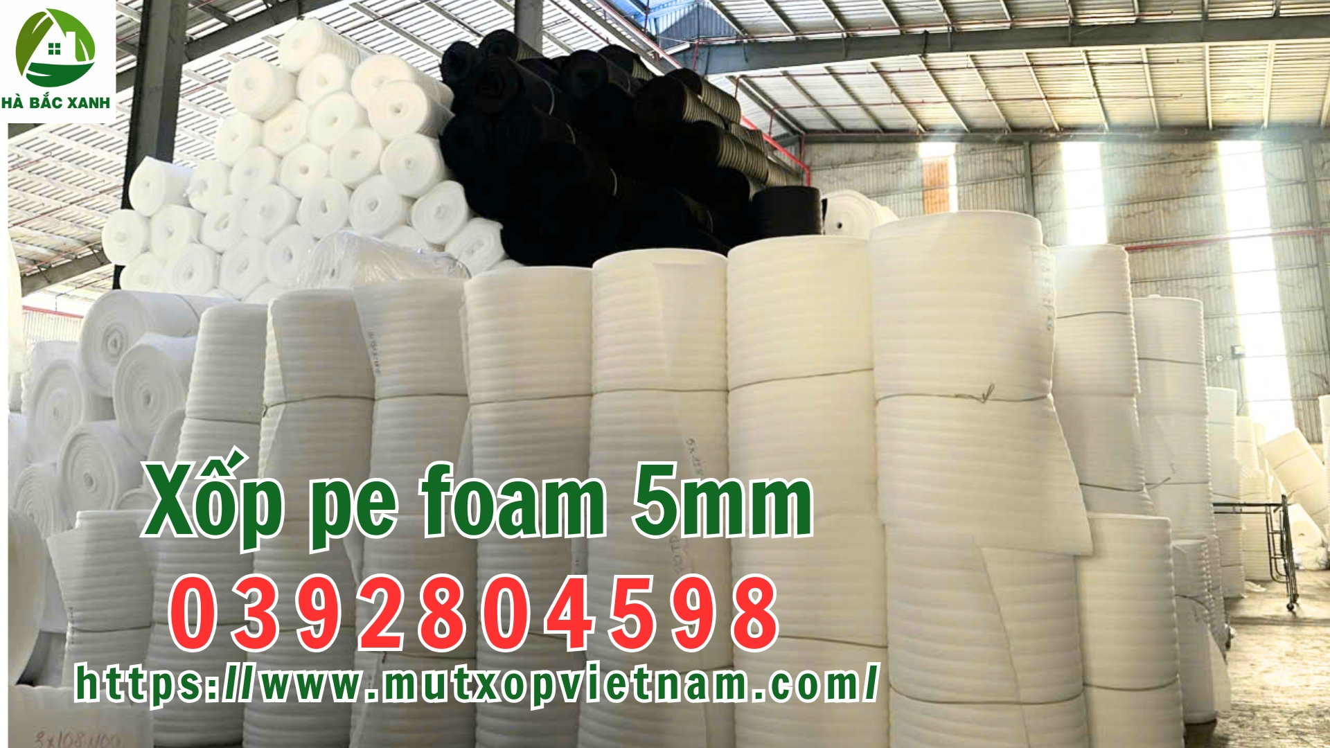 xop-pe-foam-5mm xop-pe-foam-5mm